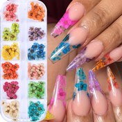 Resim 12 Çerçeve Glitterli Mercan Çiçeği Manikür Sanatı Kuru Çiçekler FX - Canlı Renkler, Parlak Bitiş, Önceden Yapışkanlı Plastik Manikür Süsleri için Yenisine Bir Yaz Görünümü, Manikür Sanatı Aksesuarları 
