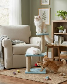 Resim Reyo Pet Katlı Yavru Kedi Tırmalama Tahtası Turkuaz 