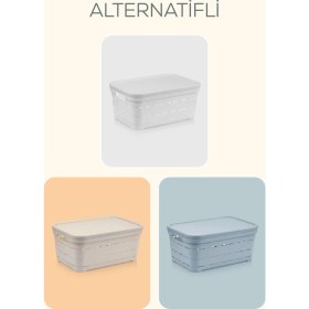 Resim 6'lı Kapaklı 5 Litre Delikli Saklama Kutusu Mavi 