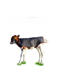 Resim Buzağı Battaniyesi Su Geçirmez Premium 