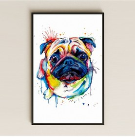 Resim Renkli Pug Portresi Suluboya Stil Şeffaf Pleksi Tablo 