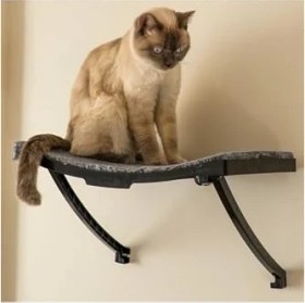 Resim Esranın Dünyası Cama Asılan Vantuzlu Plastik Kedi Yatağı (Antrasit) 