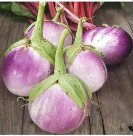 Resim Topak Rosa Bianca Patlıcan Tohumu 15 Tohum 1 Set 