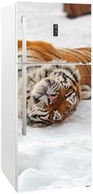 Resim Buzdolabı Kapağı Kaplama Sticker 0010 BUZS000010 