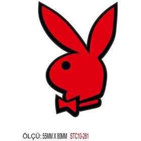 Resim Motorsiklet Otomobil Sticker 2 Adet 279 
