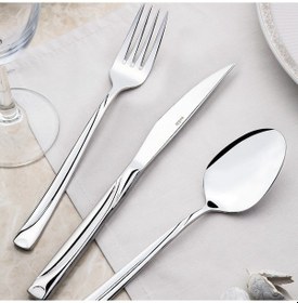 Resim Nehir Fiesta Sade 72 Parça Kutulu Çatal Kaşık Bıçak Seti Gümüş 