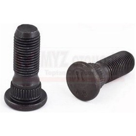 Resim Bıjon Saplaması Celık On Kısa R12 