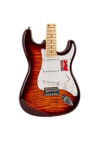 Resim New Orleans NSS9720 WSB SSS Strat Elektro Gitar 