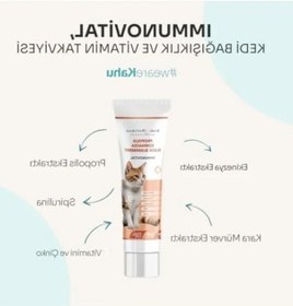 Resim İmmün Sistem Destekleyici Kedi Vitamin Takviyesi 100 Ml 