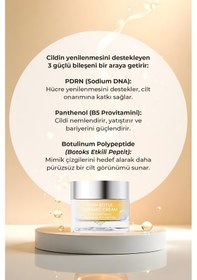 Resim 3x Pdrn Dolgunlaştırıcı Etkili Cilt Onarım Seti 