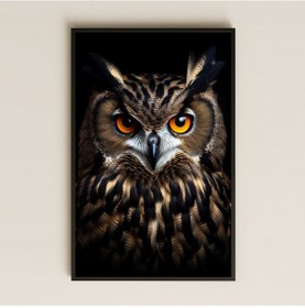 Resim Karanlık Fon Üzerinde Portre Baykuş Dijital Sanat Pleksi Tablo 