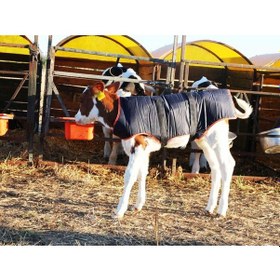 Resim Buzağı Battaniyesi 73 CM 