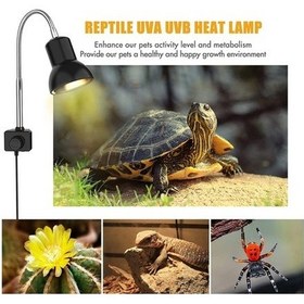 Resim Diğer 25w Uva Uvb Tutuculu Lamba, 360 Döner Kelepçe Ve Adaptörlü Ayaklı 