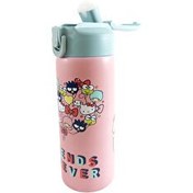 Resim Hello Kıtty and Frıends 600 Ml Çelik Matara 