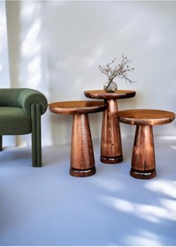 Resim AYLESA Ahşap 3’lü Set Mantar Yan Sehpa Modern Ceviz Renk Fiskos Zigon Çiçeklik 