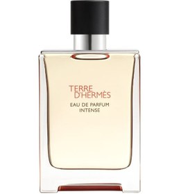 Resim Hermes Terre Dhermes Intense Edp 100 Ml 3346130424116 Odunsu 
