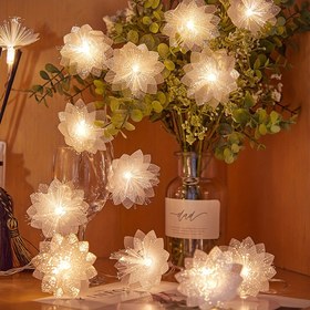 Resim USB Güçlü Fiber Optik Çiçek LED Işık Dizisi, 10-Metre Dekoratif Peri Işıkları, Plastik Malzeme, Çift-Ton Sıcak ve Çok Renkli Aydınlatma için Düğün, Festival, Noel Partisi Dekorasyonları ≤36V 