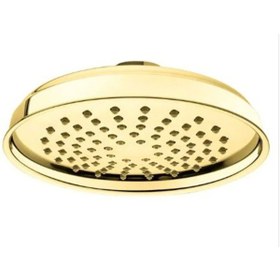 Resim Artema Elegance A4565923 Duş Başlığı Altın 
