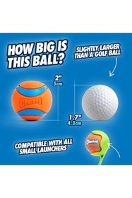 Resim Hype Store Chuckit! Ultra Ball 2'li Köpek Oyun Topu (Küçük Boy) 