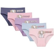 Resim 5'li Kız Çocuk Külot 4171pb58 Çok Renkli 