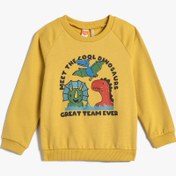 Resim Erkek Bebek Dinozorlu Sweatshirt Şardonlu Uzun Kollu Bisiklet Yaka Pamuklu 