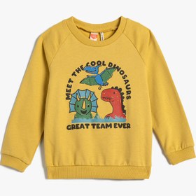 Resim Erkek Bebek Dinozorlu Sweatshirt Şardonlu Uzun Kollu Bisiklet Yaka Pamuklu 