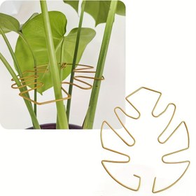 Resim Bitki Sap Destekleyici - Dayanıklı Monstera Sabitleyici Tutucu, Tırmanıcı Bitkiler için Benzersiz Tasarım, Kaplumbağa Kabuğu Bambu Kelepçe Seti, Sağlam Büyüme İçin İdeal Bitki Desteği 