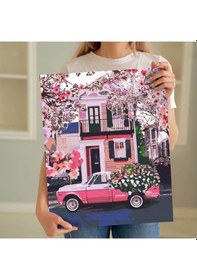 Resim Sayılarla Boyama Seti 40 X 50 Cm Tuval Şasesine Gerili Araba Kasasındaki Çiçekler 