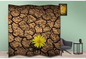 Resim Çölde Sarı Papatya Temalı Özel Tasarım Paravan Room Divider Oda Bölücü PRVN-1328-1, 220 x 180 