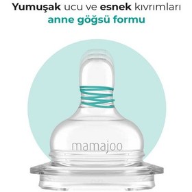 Resim Mamajoo Antikolik Biberon Emziği Seti 6 Ay+ Orta Akışlı, İkili - Saklama Kabı Hediyeli 