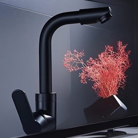 Resim Modern Siyah Çift Kontrol Musluğu, Döner Püskürtme Başlığı, Kalınlaştırılmış Tasarım ve Dahili Filtre - Mutfak veya Banyo için Çağdaş Stil, Mutfak Musluğu, Şık Metalik Kaplama, Dayanıklı Yapı 