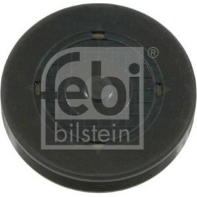 Resim Eksantrik Tapasi/silindir Kapak Tapasi 42.5x9 Küçük Megane/clio/logan 1.4-1.6 16V 96- Dpmah 
