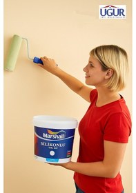 Resim Silikonlu Özel Mat Tam Silinebilir Iç Cephe Duvar Boyası 0,75 Lt Defne Yaprağı 0,75 L 