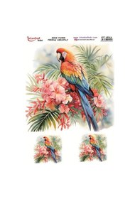 Resim Pirinç Dekopaj Kağıdı 30x42cm Pt-1823 