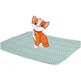 Resim Caretex Abso Sıvı Geçirmez Köpek Çiş Pedi 75 x 85 CM 