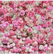 Resim Hombey Valentine Gönüllü Fotoraf Arka Planı, 0.9x1.5m Ve 1.5x2.1m Seçenekleri, Mat Yüzey, Çeşitli Desenler, Fotoğraf Çekimleri İçin Uygun 