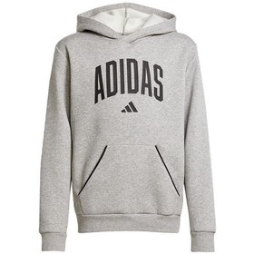 Resim Adidas Çocuk Gri Sweatshirt J Clgt Oh Fl Hd Jv7336 Gri 