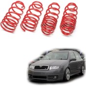 Resim Coil-Ex Skoda Fabia Spor Yay Helezon 45MM/45MM 2000-2008 Coil-Ex 