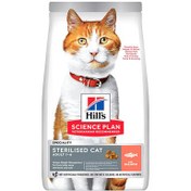 Resim Hills Sterilised Kısırlaştırılmış Somonlu Kedi Maması 3 Kg 