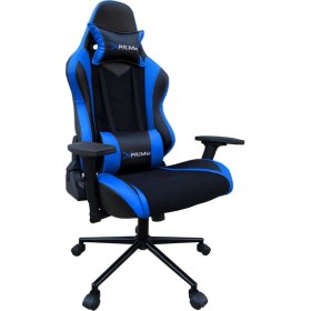 Resim Xprime Winner Oyuncu Koltuğu 