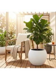Resim So-kurs3 Küre Dekoratif Yuvarlak İç Kovalı Saksı 62 Lt Beyaz 3 Adet 