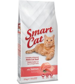 Resim Smart Cat Somonlu Yetişkin Kedi Maması 10 KG 