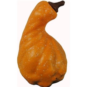 Resim Yapay Dekoratif Kabak Model - 9 