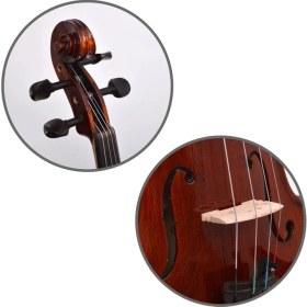 Resim Viyola 4/4 Dominguez Profesyonel DVAP44 