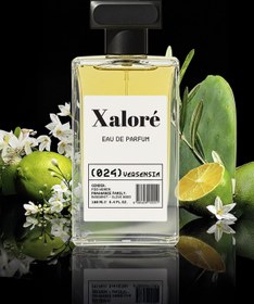 Resim Xalore Eau De Parfume Versensia Versense 024 100 ML Kadın Çiçeksi Citrus 
