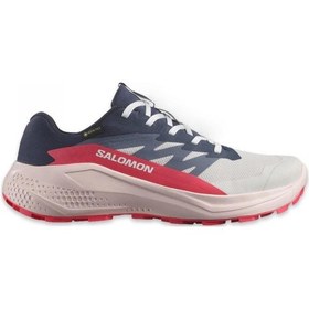 Resim Salomon 478023 Alphaglide Gtx W Patika Koşusu Kadın Spor Ayakkabı Çok Renkli 
