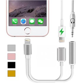 Resim WOZLO Iphone Lightning 2 In 1 Kulaklık Çevirici Kablo Aux Stereo 