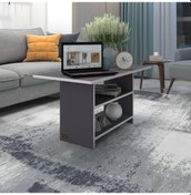 Resim Kenzlife orta salon sehpası hamburg gri 045*070*50 yemek masası 