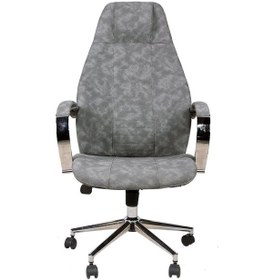 Resim Arena Gri Deri Makam Koltuğu Gri 