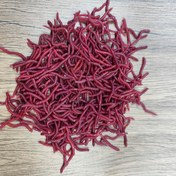 Resim 50/100/200 Adet Gerçekçi Kırmızı Solucan Yumuşak Yem - Balık Kokusu, Canlı Balıkçılık Simülasyonu için Plastik Solucanlar, Gençler Günü, Noel, Sevgililer Günü ve Babalar Günü için Mükemmel, Dış Mekan Avı Temelleri | Detaylı Bölümlere Ayrım | Solucana Benzer Doku, Balıkçılık İçin Solucanlar 